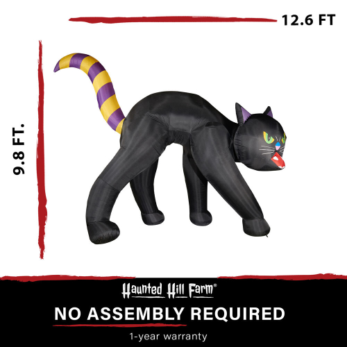 Haunted Hill Farm HIBCAT102-L - 3